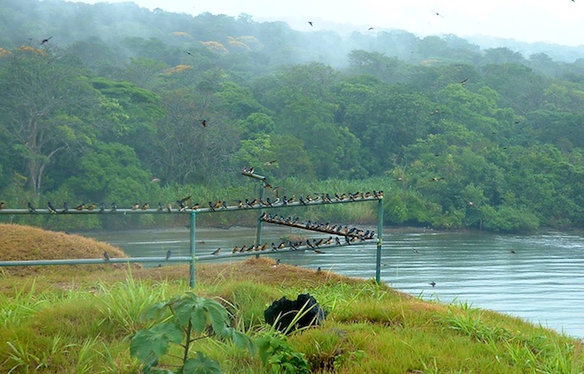 Panama San Lorenzo3.JPG (164931 bytes)